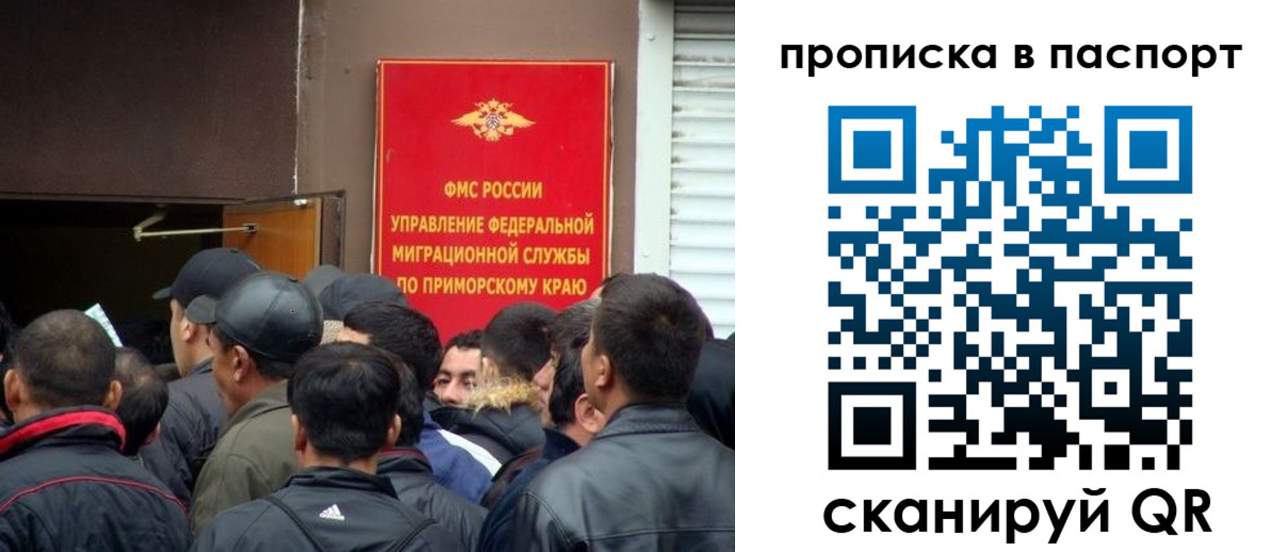 прописка поиск в Златоусте